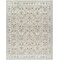 Livabliss Dresden DRE-2311 Area Rug , With Fringe DRE2311-710103 - alternate 1